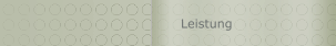 Leistung